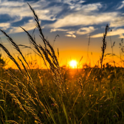 Números mostram que diversidade marca o Censo Agro