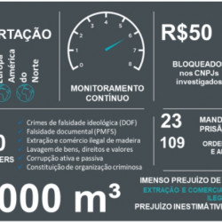 Avanços tecnológicos permitem o monitoramento diário para combate ao desmatamento ilegal