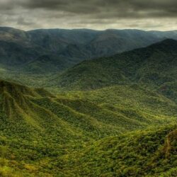 Imagens de satélites mostram avanço do desmatamento na Mata Atlântica