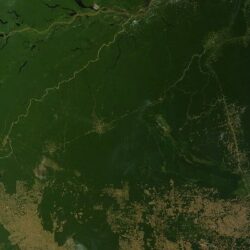 Levantamento com radar ajuda a buscar artefatos arqueológicos na Amazônia