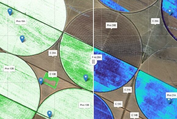 Smart Sensing anuncia plataforma que mapeia teor de clorofila para aplicação localizada e identificação de falhas de plantio e ataque de pragas