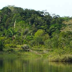 Programa Brasil MAIS potencializa o combate a crimes ambientais na Amazônia