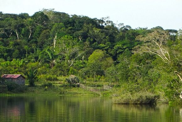 Programa Brasil MAIS potencializa o combate a crimes ambientais na Amazônia