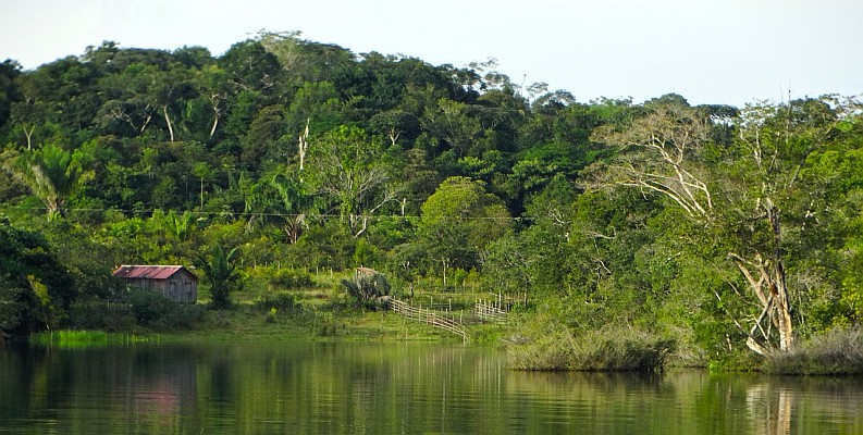 Programa Brasil MAIS potencializa o combate a crimes ambientais na Amazônia