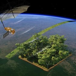 Satélite Biomass é lançado para quantificar o carbono florestal na Terra