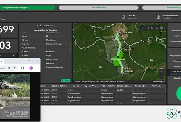 Ambientare Geotech ganha reconhecimento internacional da Esri Ambientare Geotech ganha reconhecimento internacional da Esri