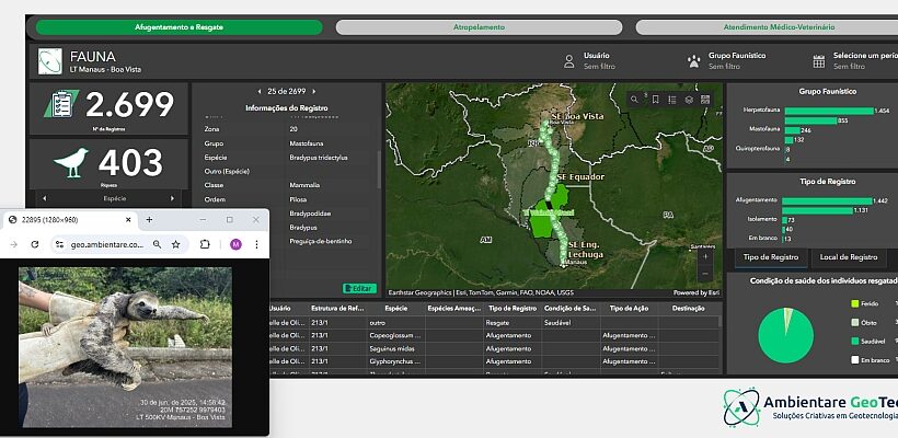 Ambientare Geotech ganha reconhecimento internacional da Esri
