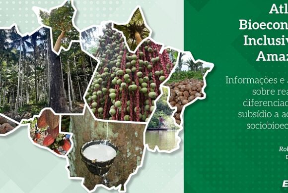 Novo Atlas da Bioeconomia conta com dados de 107 microrregiões da Amazônia Novo Atlas da Bioeconomia conta com dados de 107 microrregiões da Amazônia