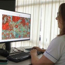 CMN incorpora dados de satélites na análise de crédito rural