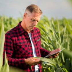 Dados geoespaciais como base para o mercado de seguros agrícolas