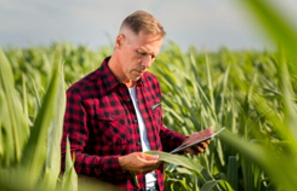 Dados geoespaciais como base para o mercado de seguros agrícolas