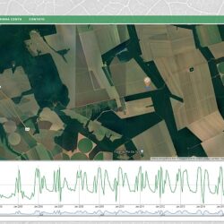 Embrapa atualiza sistema de análise temporal da vegetação com dados do Brazil Data Cube