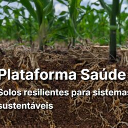 Embrapa anuncia plataforma de Saúde do Solo na COP30