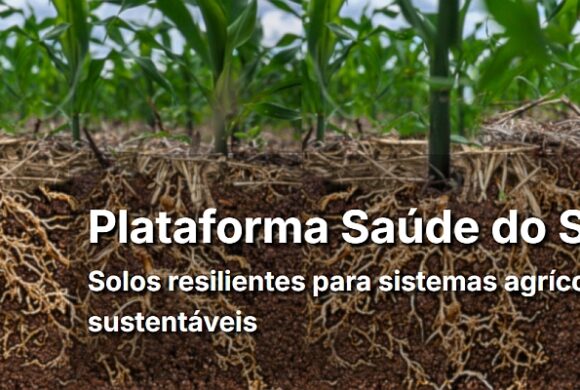 Embrapa anuncia plataforma de Saúde do Solo na COP30
