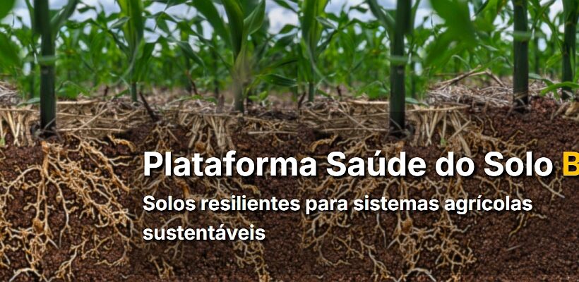 Embrapa anuncia plataforma de Saúde do Solo na COP30