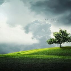 Governo amplia prazo para Georreferenciamento de Imóveis Rurais