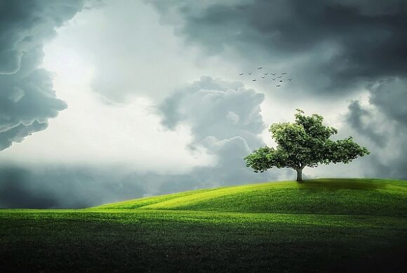 Governo amplia prazo para Georreferenciamento de Imóveis Rurais Governo amplia prazo para Georreferenciamento de Imóveis Rurais