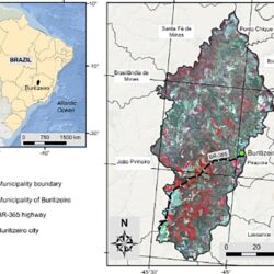 Imagens de Satélites e IA no mapeamento de terras agrícolas no Cerrado