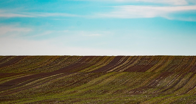 Incra integra estudo sobre situação global da governança da terra