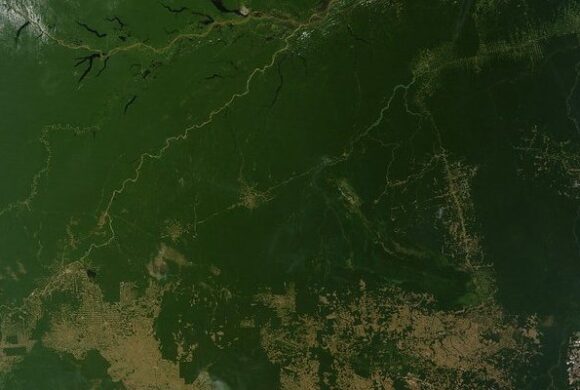 Estudo do INPE revela que Bolsa Verde reduziu desmatamento na Amazônia