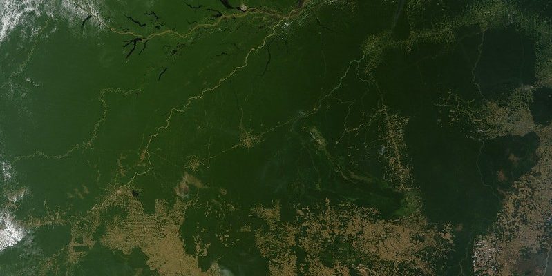Estudo do INPE revela que Bolsa Verde reduziu desmatamento na Amazônia