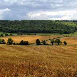 Sem a correta localização dos imóveis, não há segurança jurídica no campo; entenda
