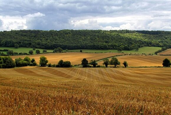 Sem a correta localização dos imóveis, não há segurança jurídica no campo; entenda
