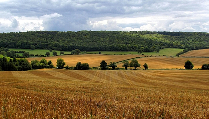 Sem a correta localização dos imóveis, não há segurança jurídica no campo; entenda Sem a correta localização dos imóveis, não há segurança jurídica no campo; entenda
