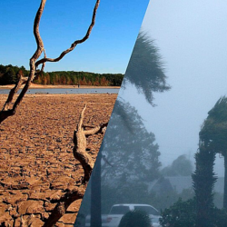 Embrapa orienta produtores sobre como reduzir impactos do El Niño