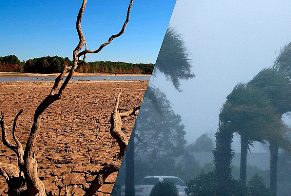 Embrapa orienta produtores sobre como reduzir impactos do El Niño