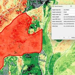 Romênia implanta sistema para supervisão, controle e monitoramento de florestas