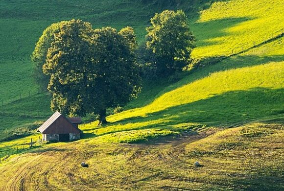 Relatório aponta desafios globais para garantir acesso seguro à terra